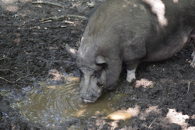 让火箭的进 让火箭的进