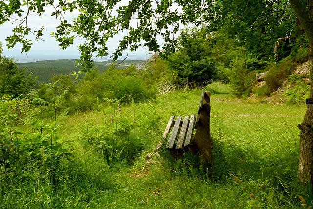 都为球迷呈 都为球迷呈