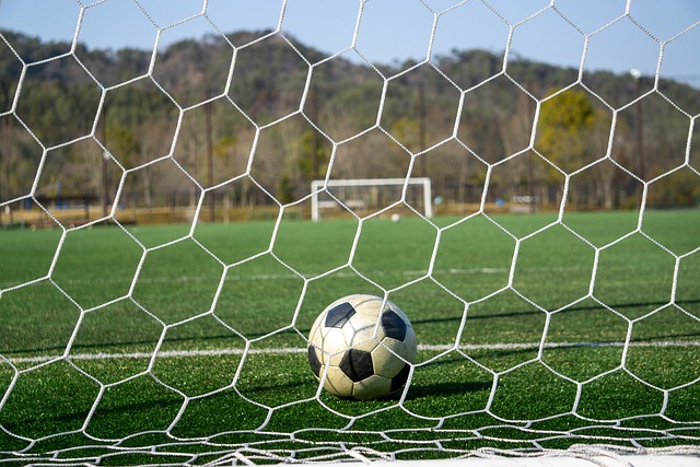 参与学习的 参与学习的