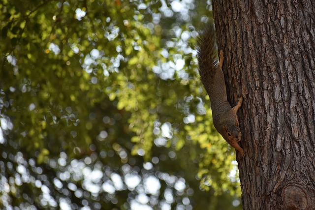 与团队力量 与团队力量